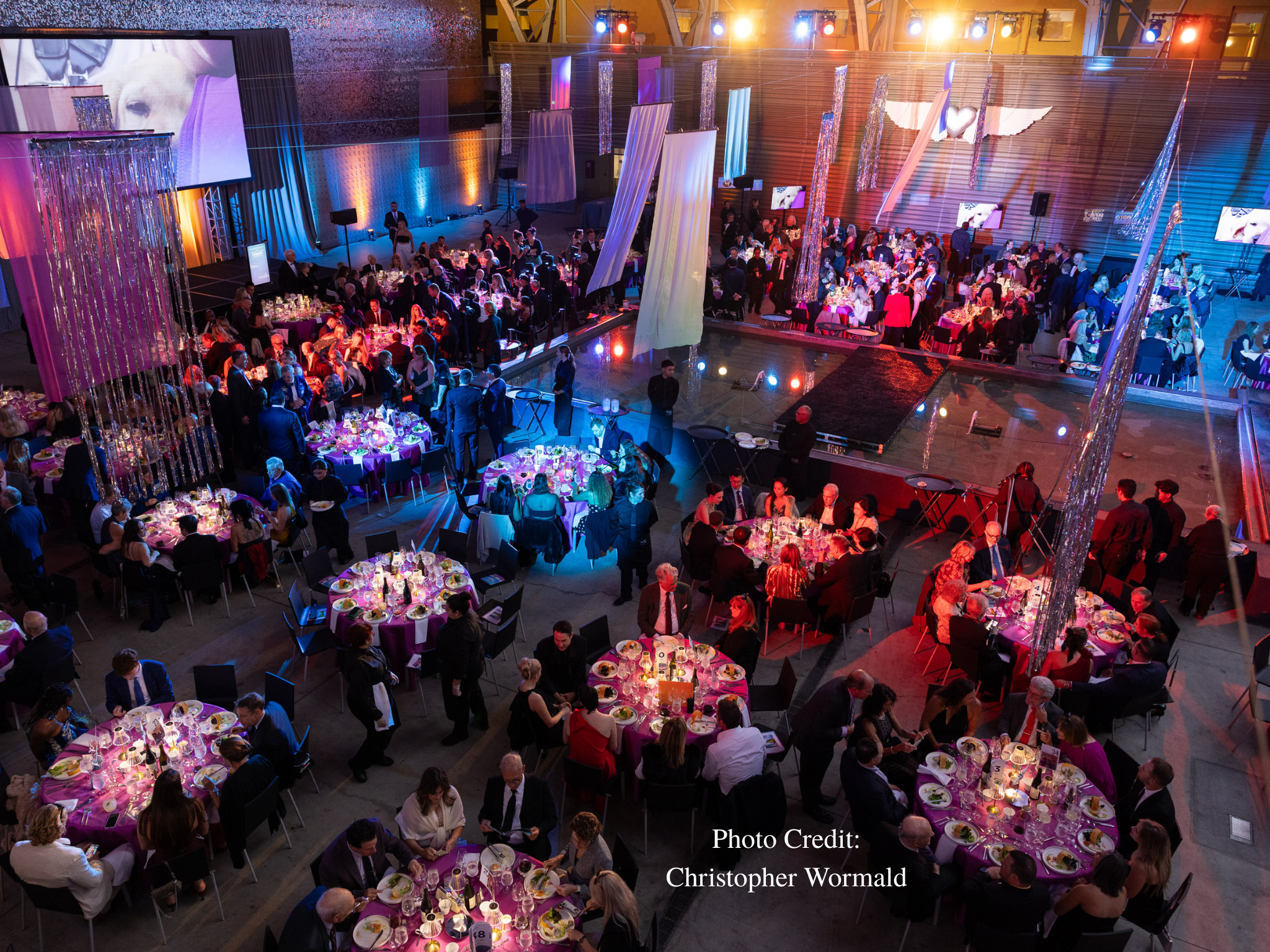 A large indoor gala with round banquet tables in purple linens, guests conversing under colorful stage lighting and hanging decorations.